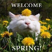 welcome_spring-200px.jpg